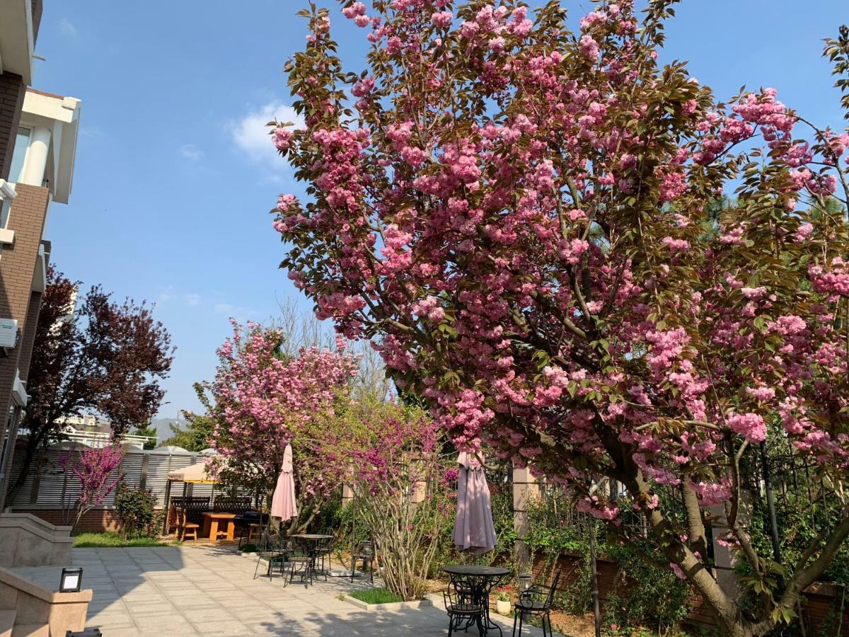Floral Hotel - Begonia Villa Csingtao Kültér fotó
